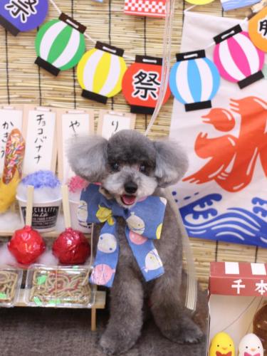 20240712タルトくん